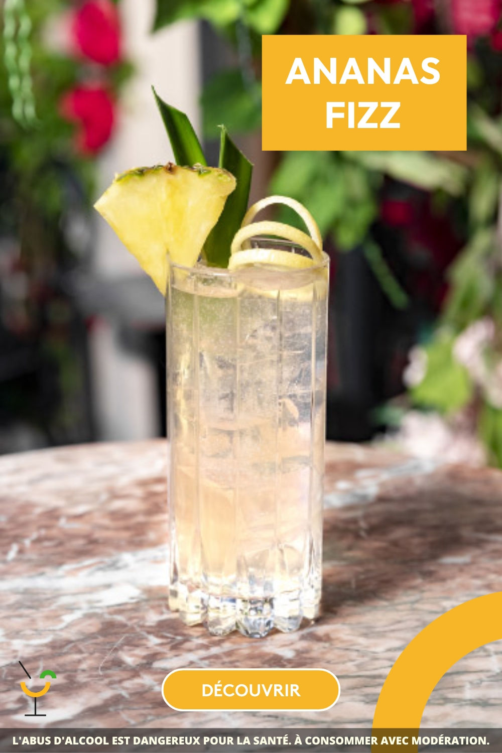 Anana Fizz C/Alcohol NR Real 750 cc