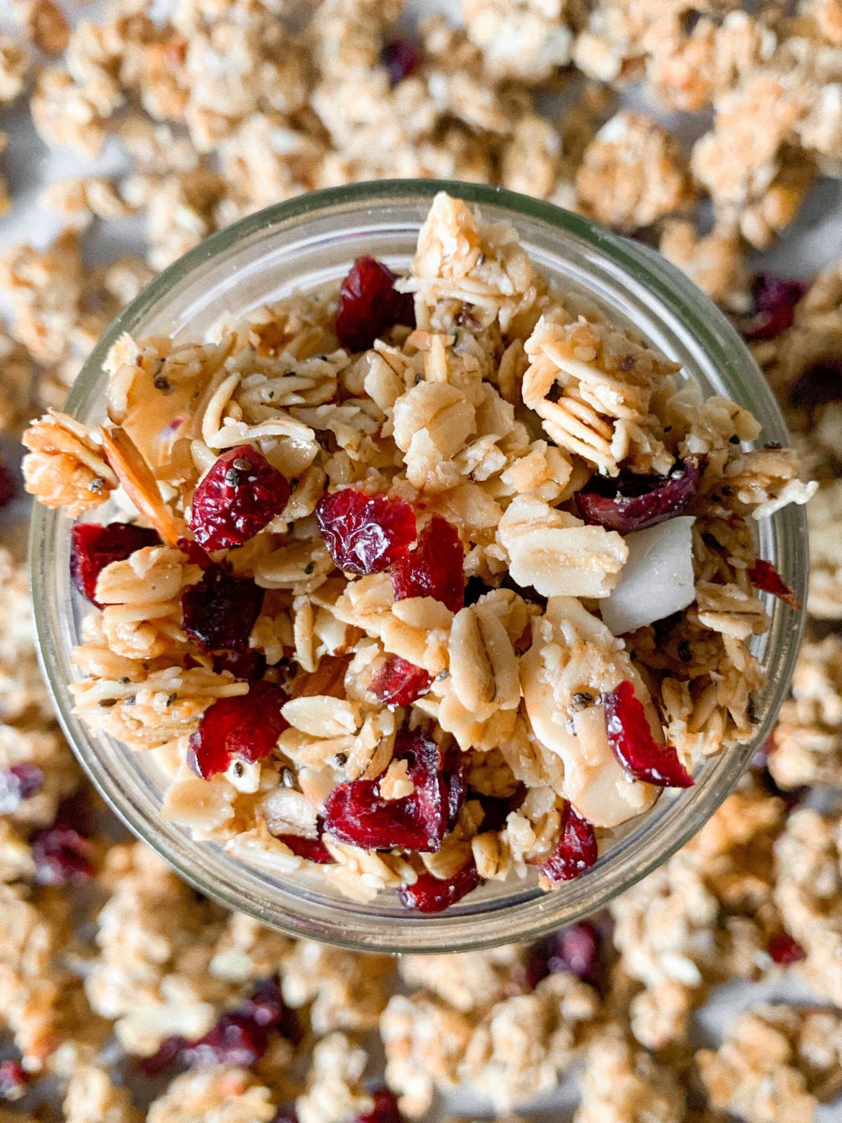 Granola Cranberry & Coco Kuati 250 Grs