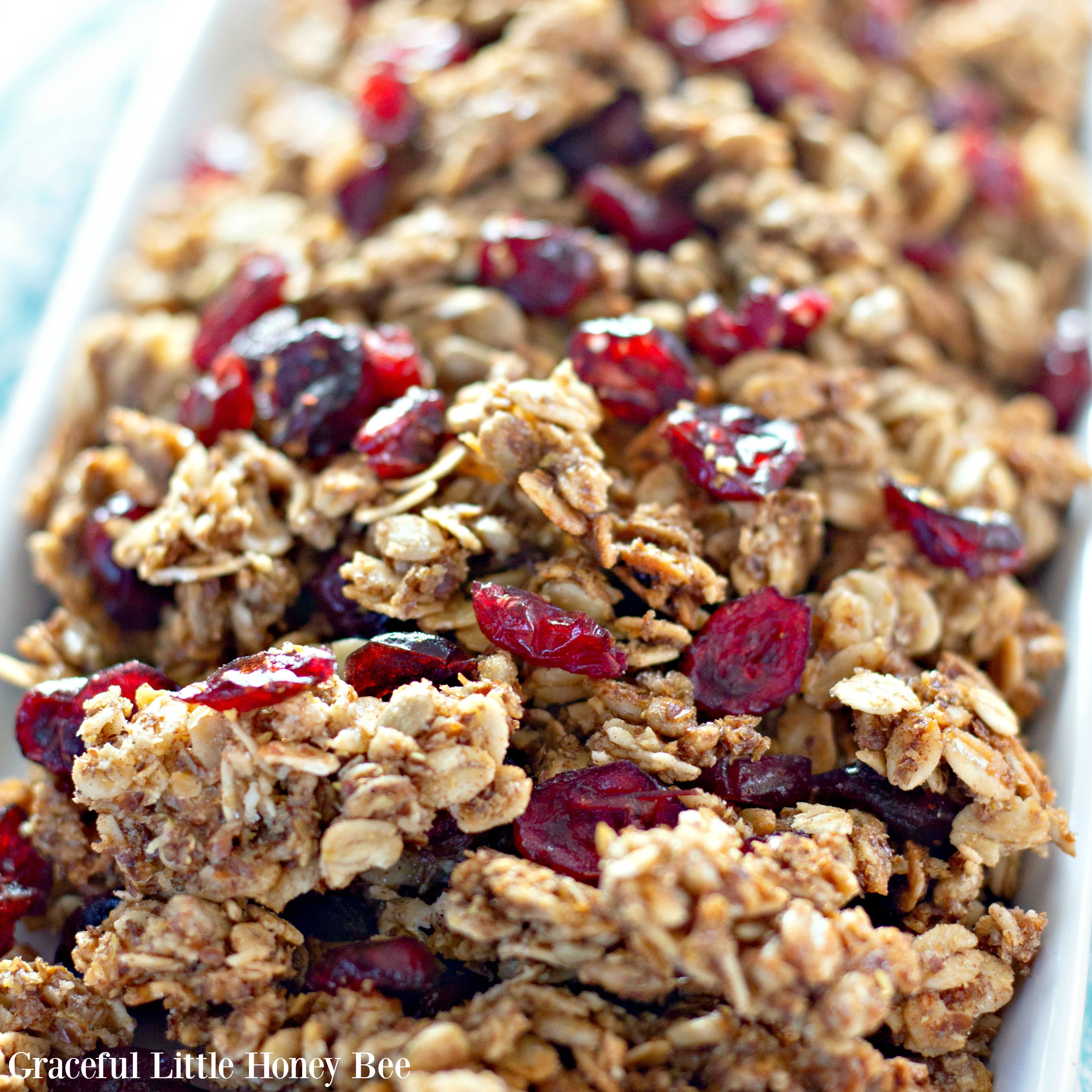 Granola Cranberry & Coco Kuati 400 Grs
