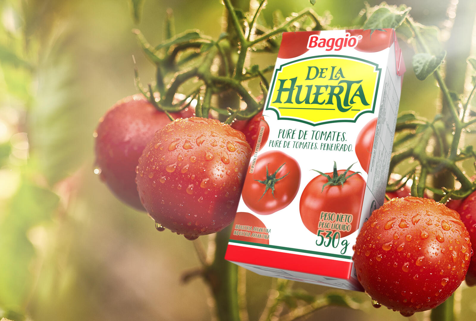 Pulpa de Tomate De la Huerta 520 Grs