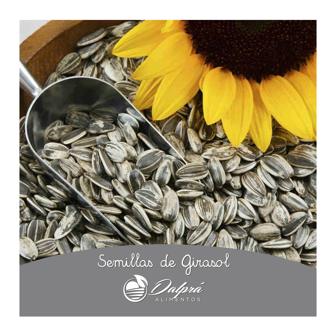 Semillas de Girasol DP Cumana 150 Grs