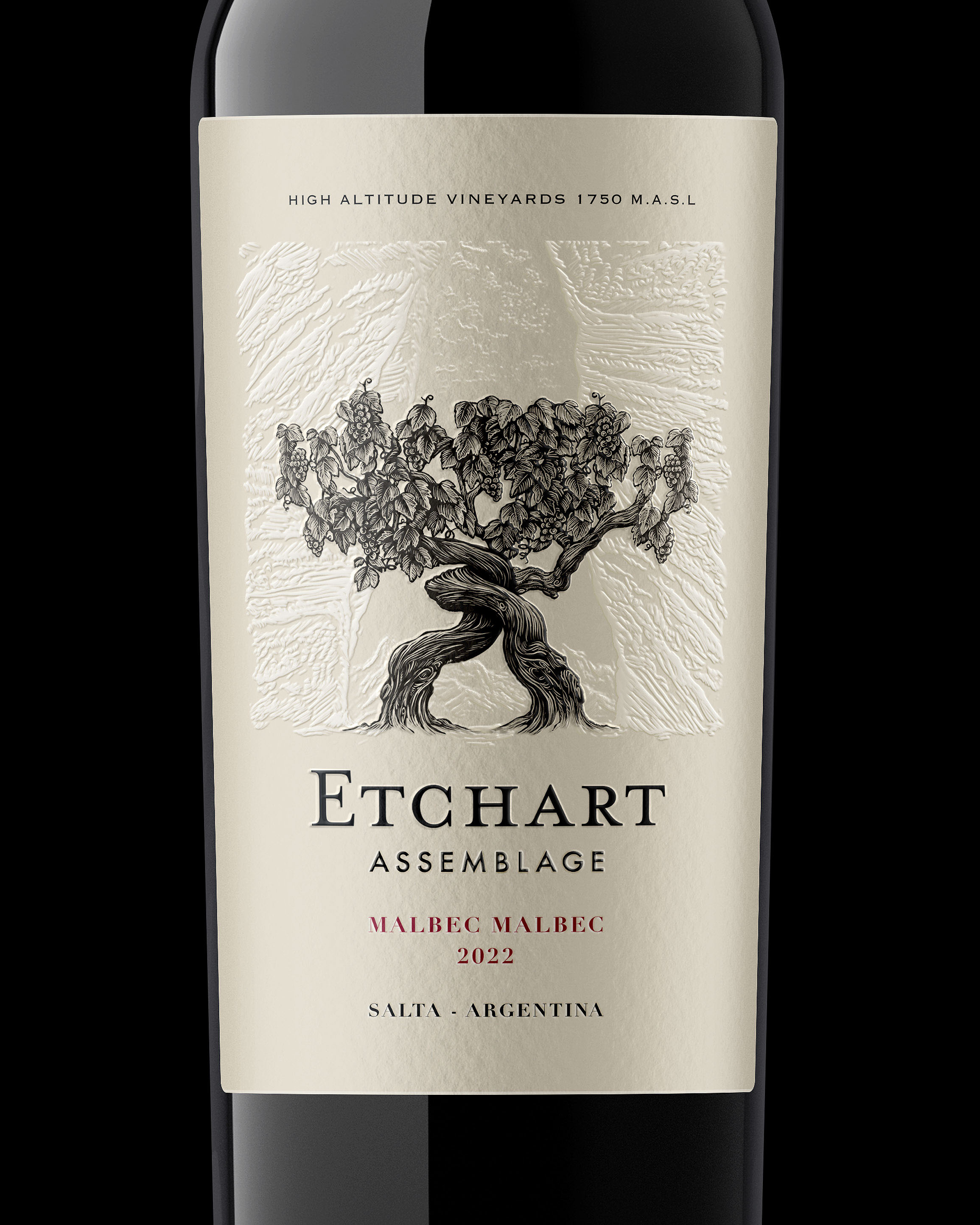 Vino Assemblaje Malbec Malbec Etchart 750 cc
