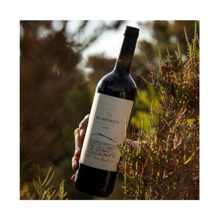 Vino Cabernet Sauvignon El Esteco 750 ml