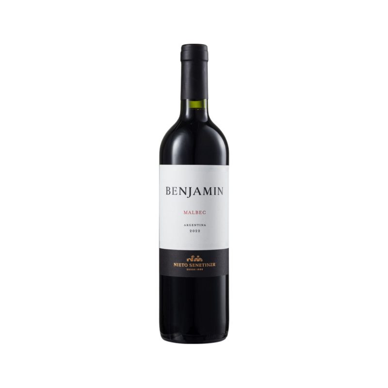 Vino Malbec 2023 Benjamin 750 cc