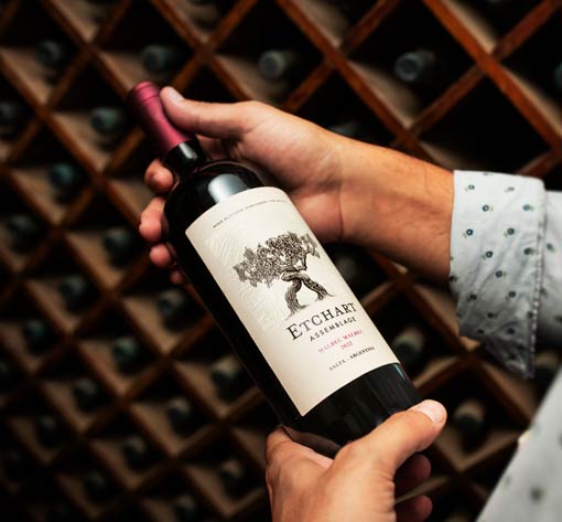 Vino Reserve Malbec Cafayate 750 ml