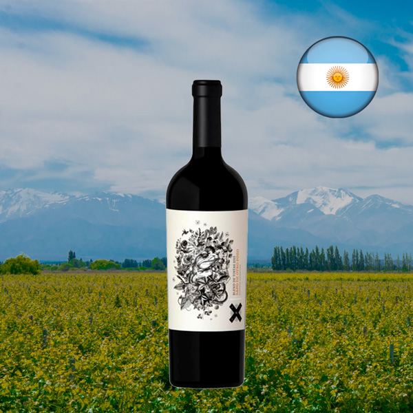 Vino Rio de los Ciervos Malbec Araucana 750 cc