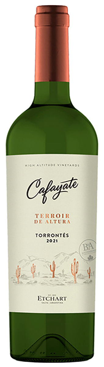 Vino Terroir de Altura Tardio Cafayate 750 cc