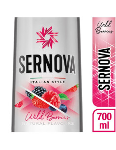 Vodka 40º QR Absolut 500 cc